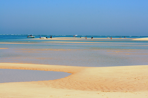 Ria Formosa Experience Boat
