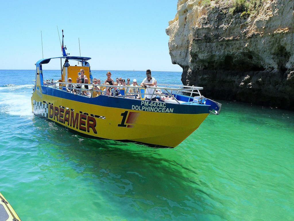 Caves And Dolphin Watching Cruise