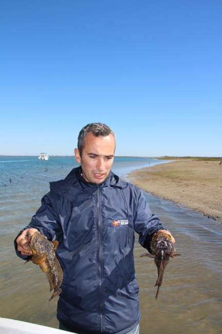 Culatra Island In Faro