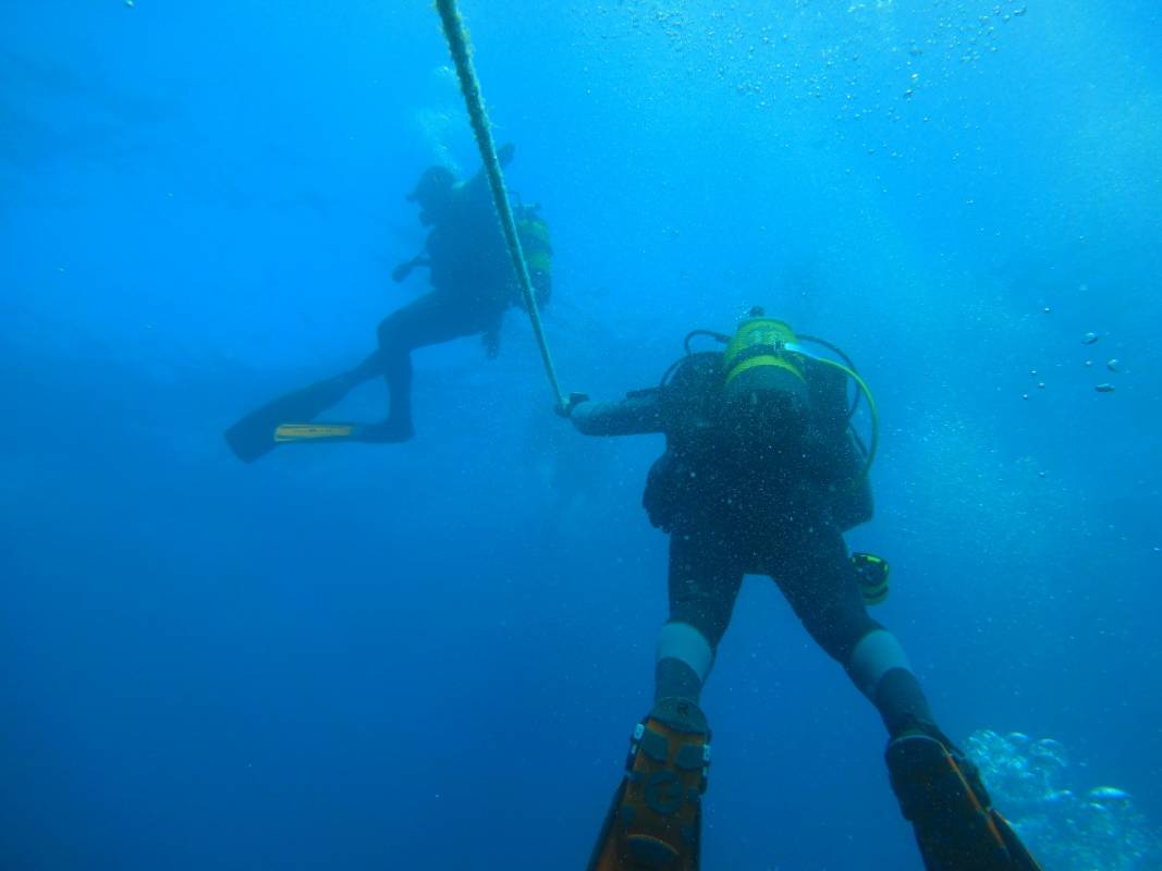 Dive Trips In Albufeira