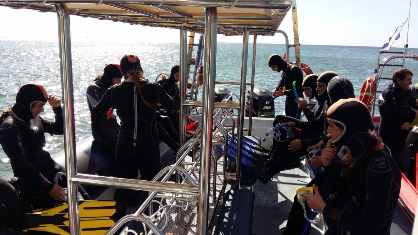 Snorkeling Tour In Albufeira