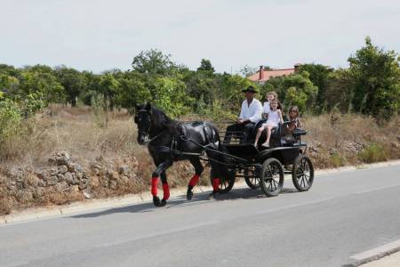 Pferdekutschenfahrt In Der Algarve
