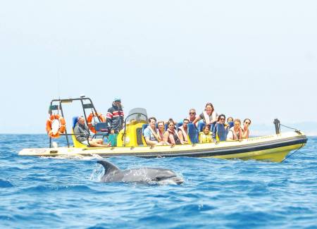Von Albufeira: 2 Stunden Delfinbeobachtung Und Benagil Höhlentour Auf Dem Insónia Rib Boat