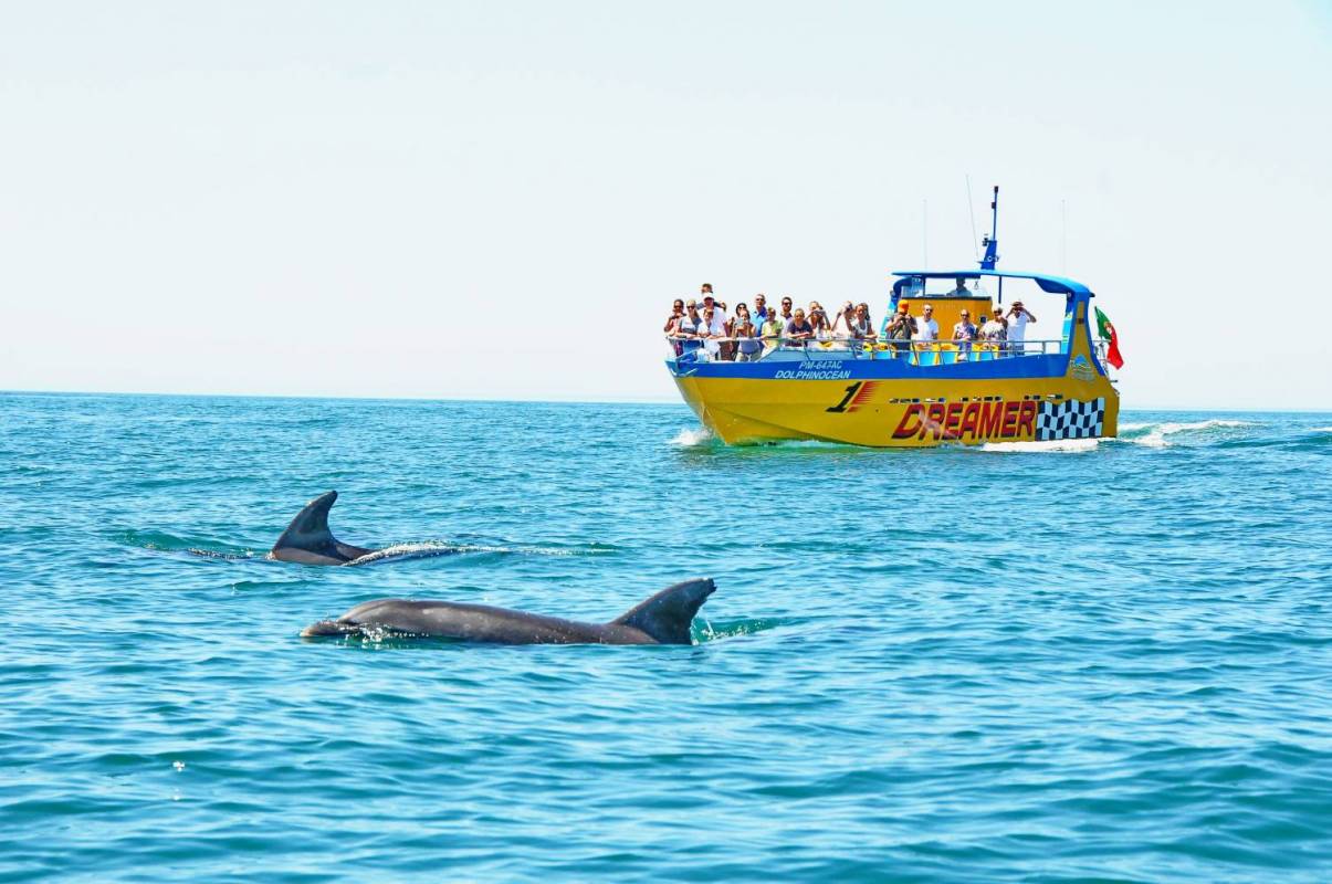Caves And Dolphin Watching Cruise