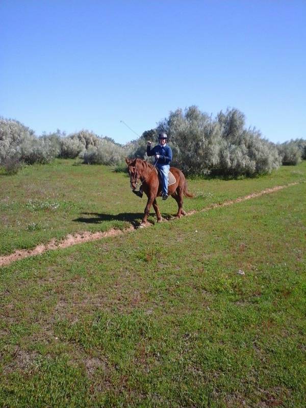 Horse Riding In Lagoa Dos Salgados