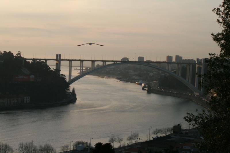 Porto City Tour