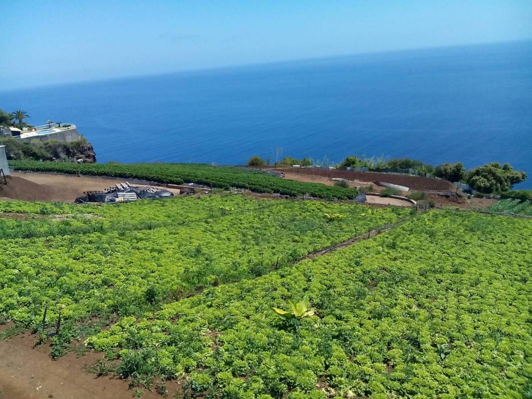 Green Agriculture Tour In Madeira Island