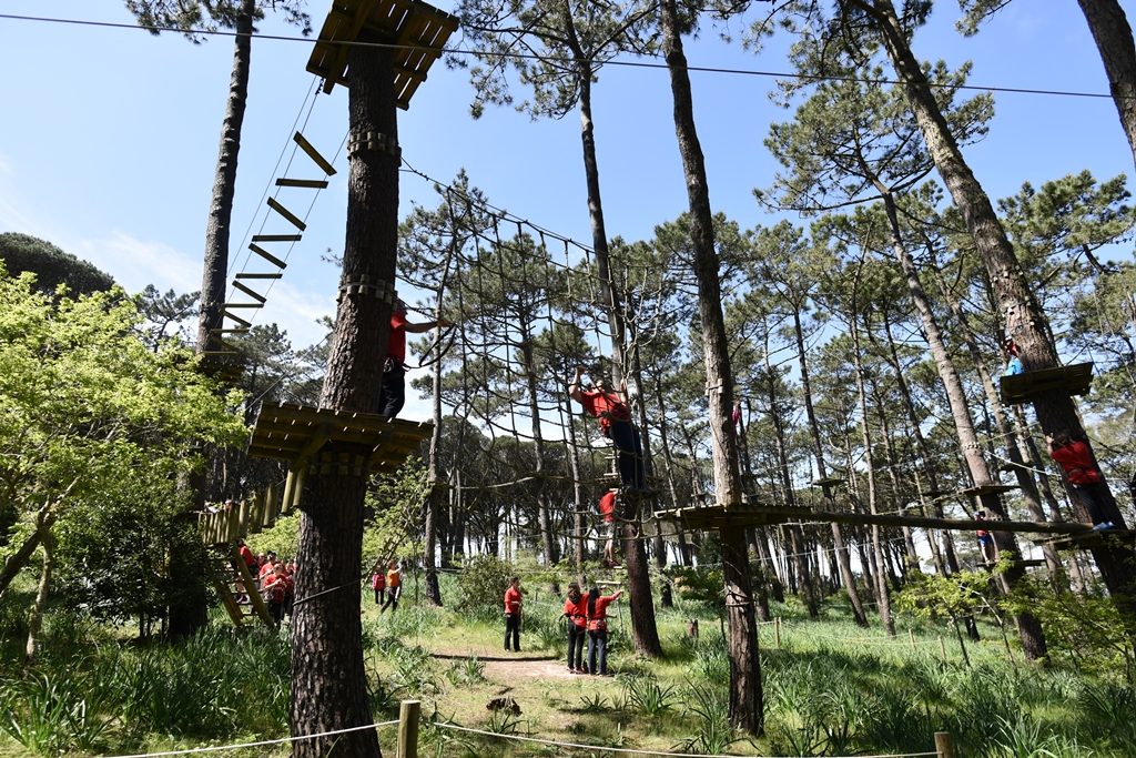 Adventure Park Figueira Da Foz