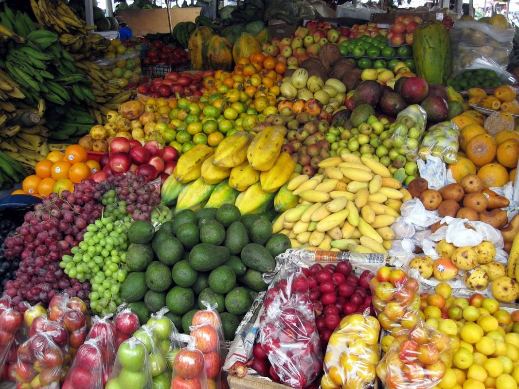 Madeira Island Southeast
