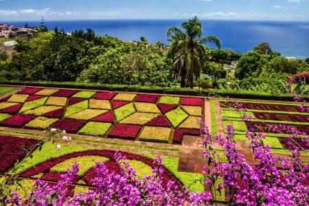 Tour Privado En Funchal, Isla De Madeira