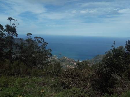Passeio Por Ribeiro Frio – Portela – Ilha Da Madeira