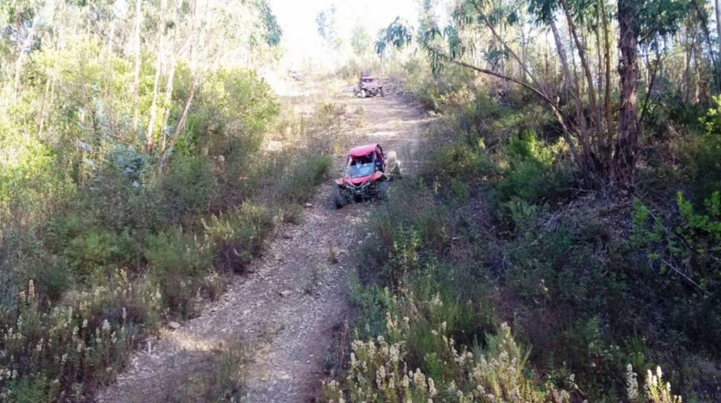 Buggy In The Algarve