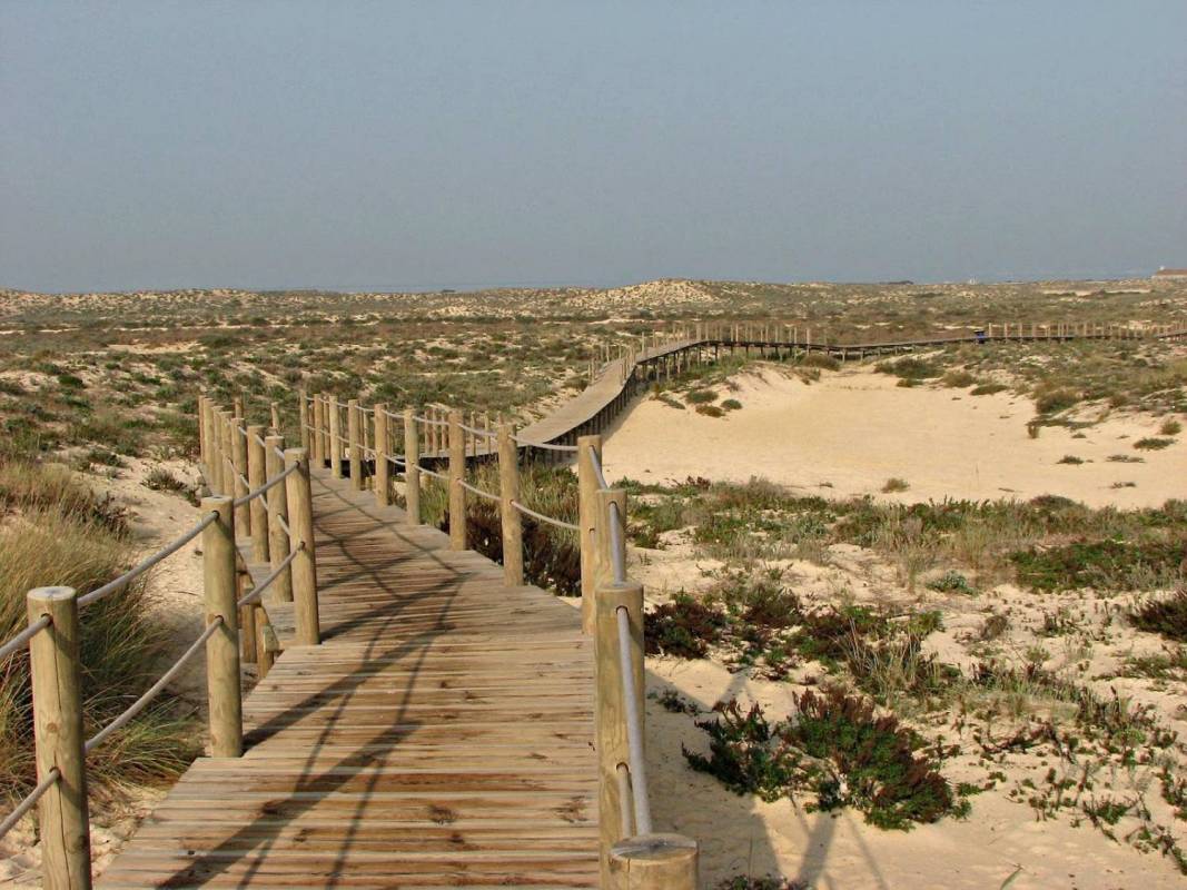 Beach And Lunch In Faro