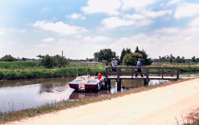 Boat tour in Aveiro