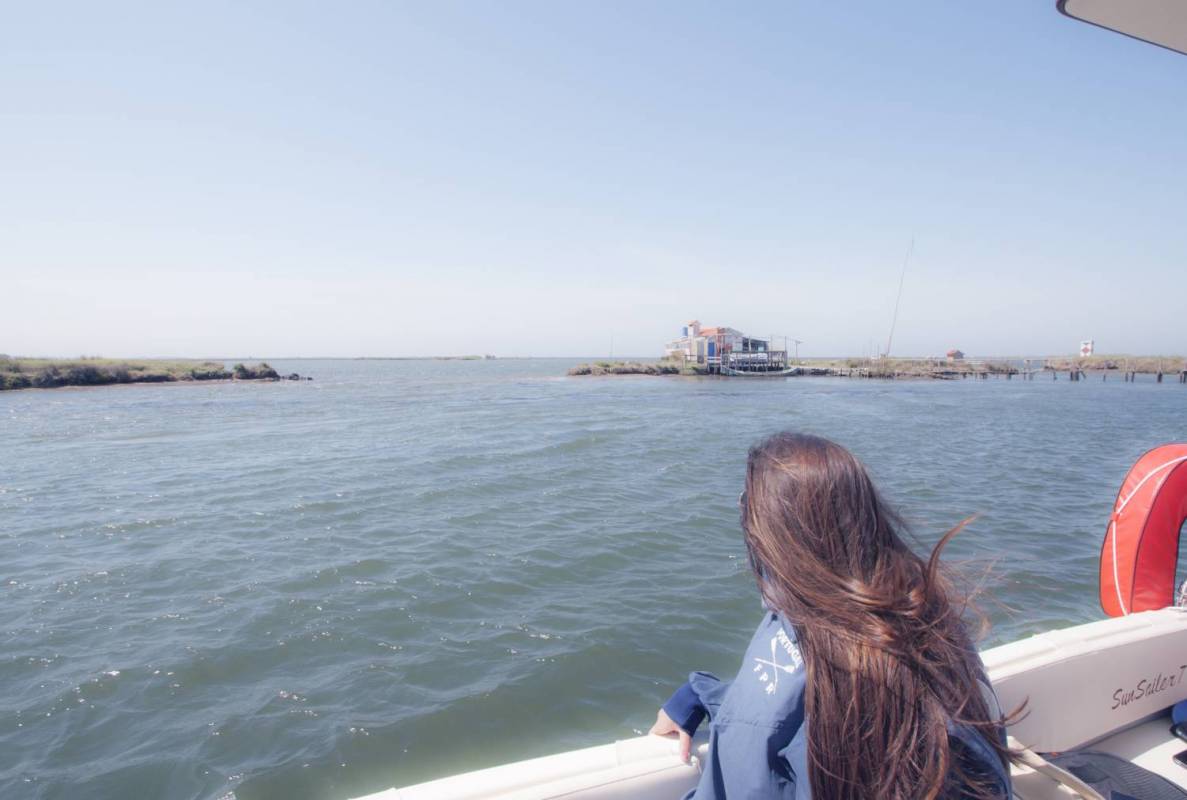 Boat tour in Aveiro