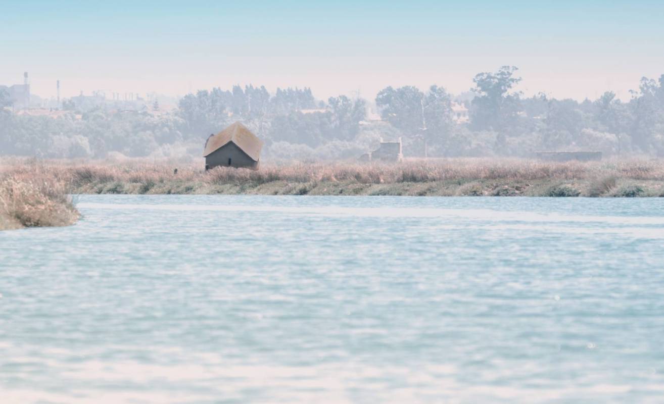 Boat tour in Aveiro