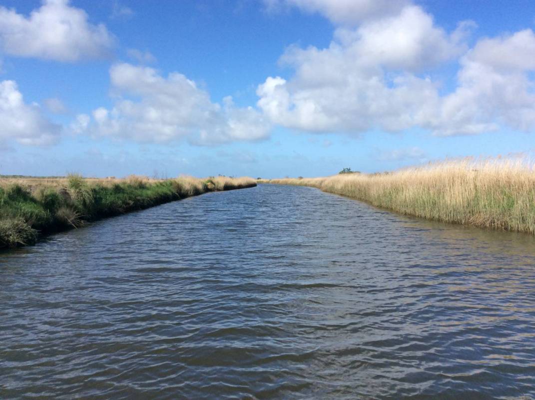 Boat tour in Aveiro