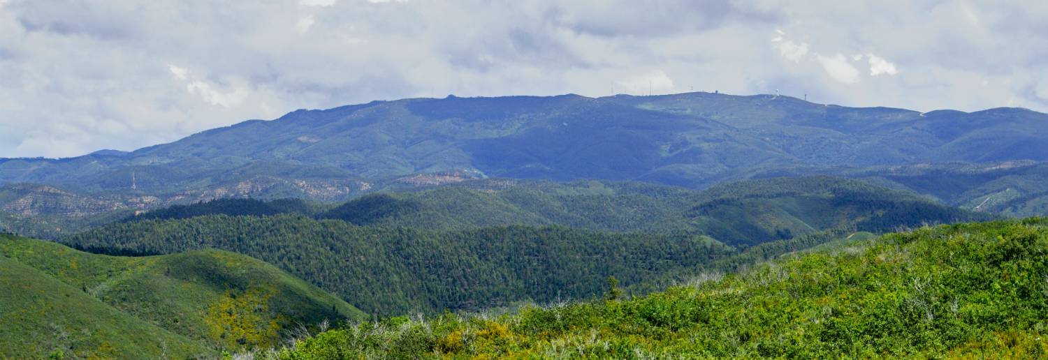 Monchique Mountain Tour By Segway