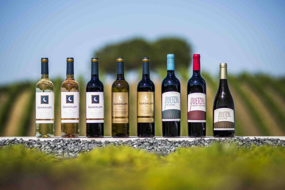 Quetzal Vineyard Top Experience