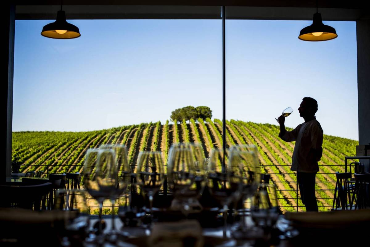 Quetzal Vineyard Top Experience