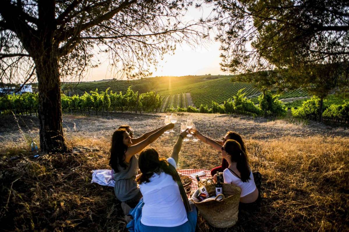 Quetzal Vineyard Top Experience
