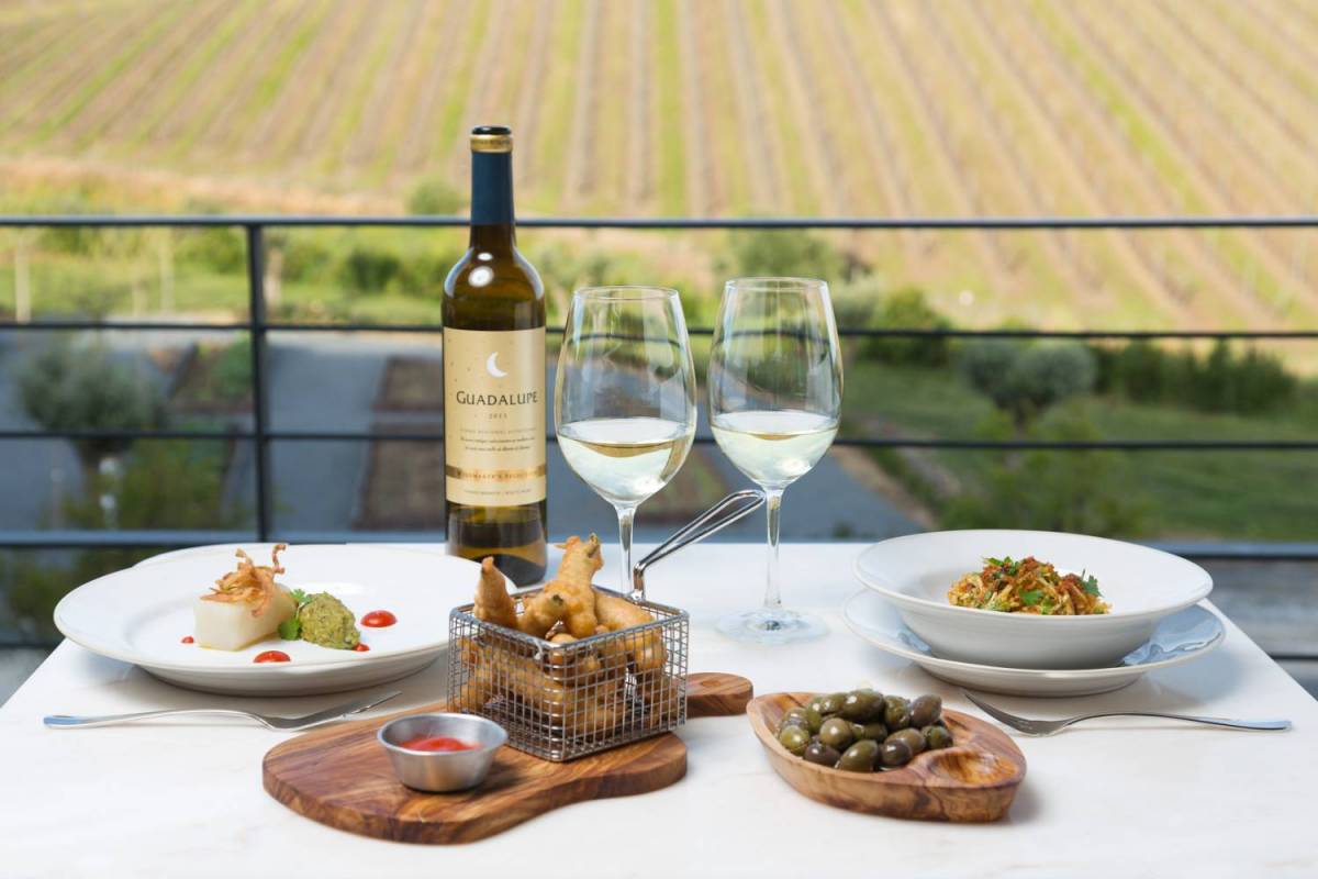 Quetzal Vineyard Top Experience