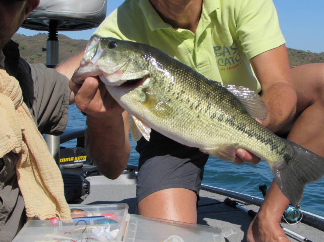 Lake Sport Fishing