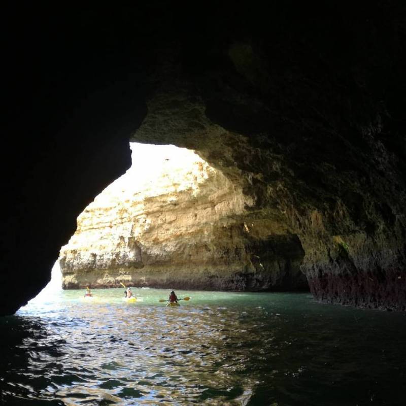 Algarve Zebra Tour
