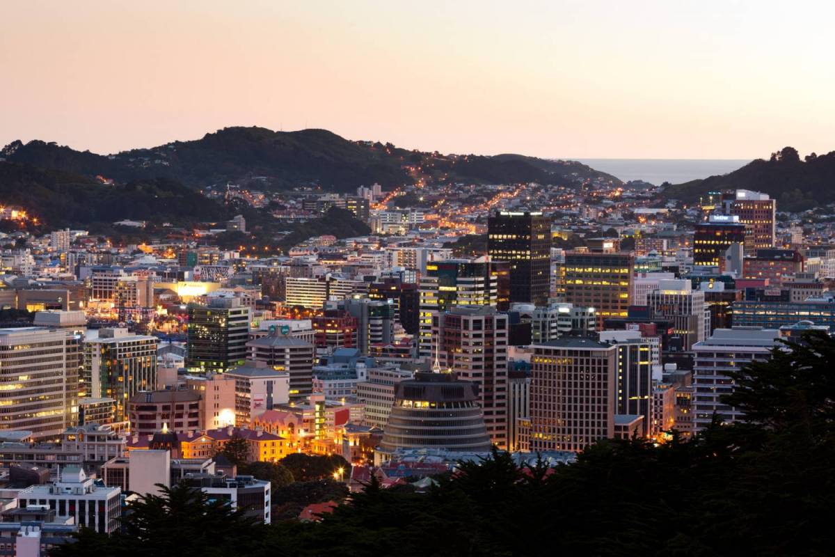Wellington Full Day Tour - New Zealand