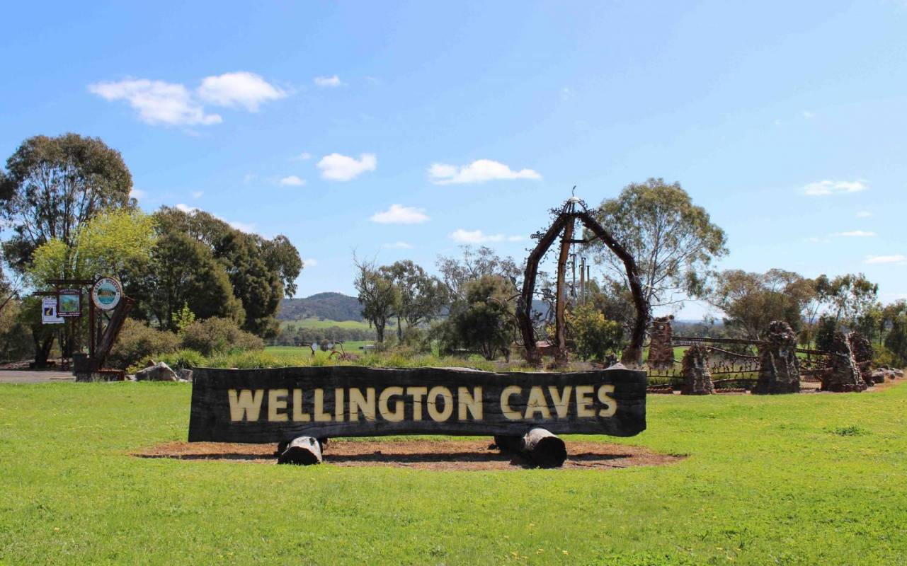 Wellington Half Day Tour - New Zealand