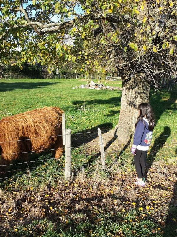 Martinborough Wine Tour - New Zealand
