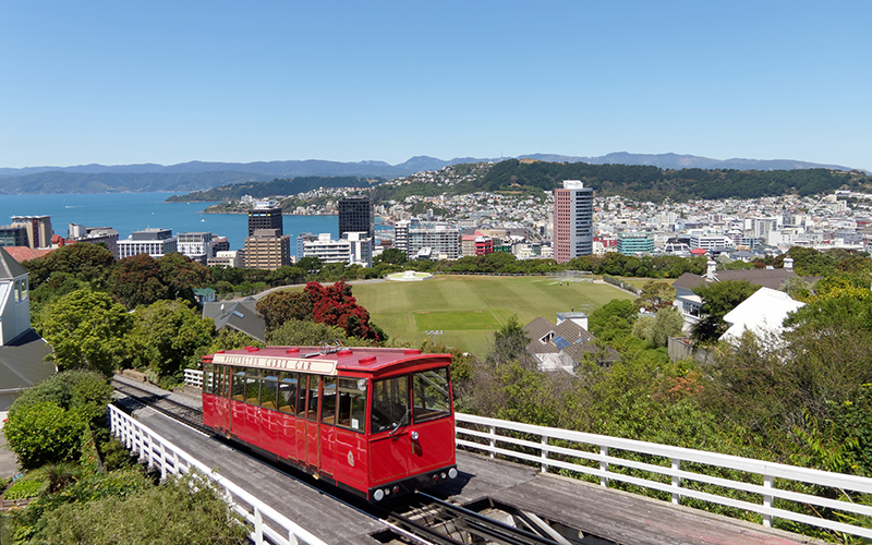 Wellington Half Day Tour - New Zealand