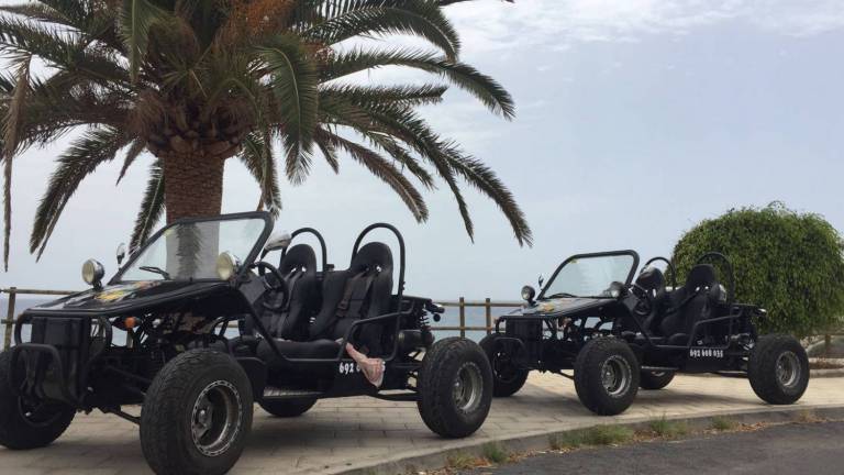 voiture téléguidée buggy