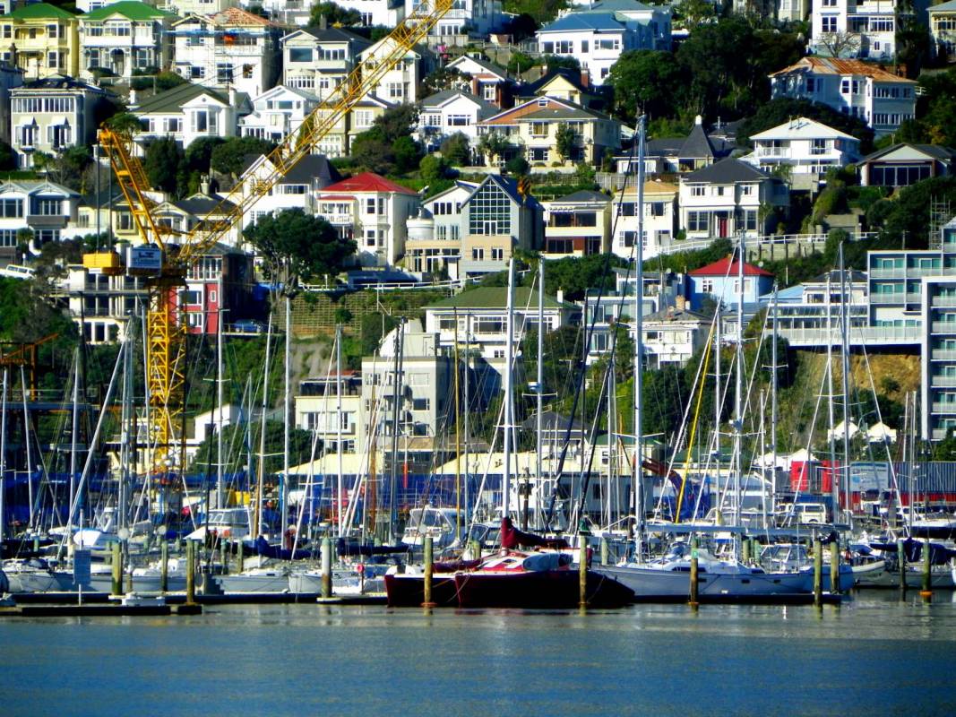 Wellington Full Day Tour - New Zealand
