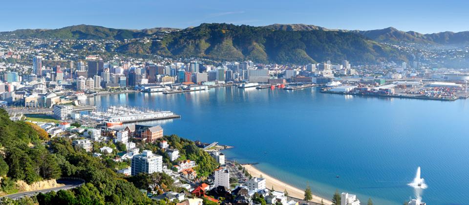 Wellington Half Day Tour - New Zealand