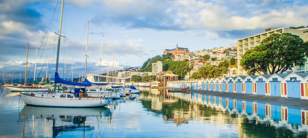 Wellington Half Day Tour - New Zealand