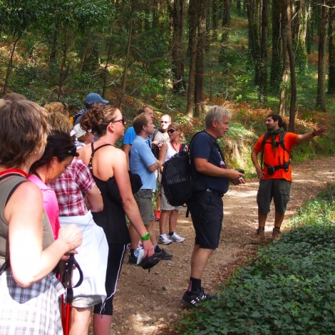 Sintra Hiking