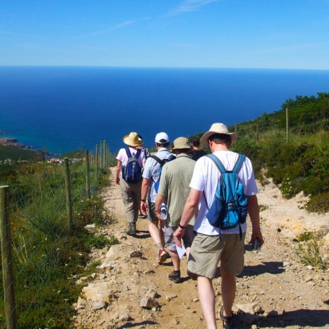 Sintra Hiking