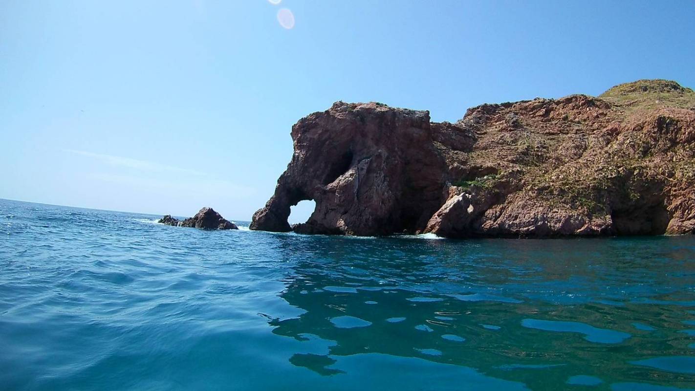 Catamaran Tour - See The Bottom Of The Sea – Peniche