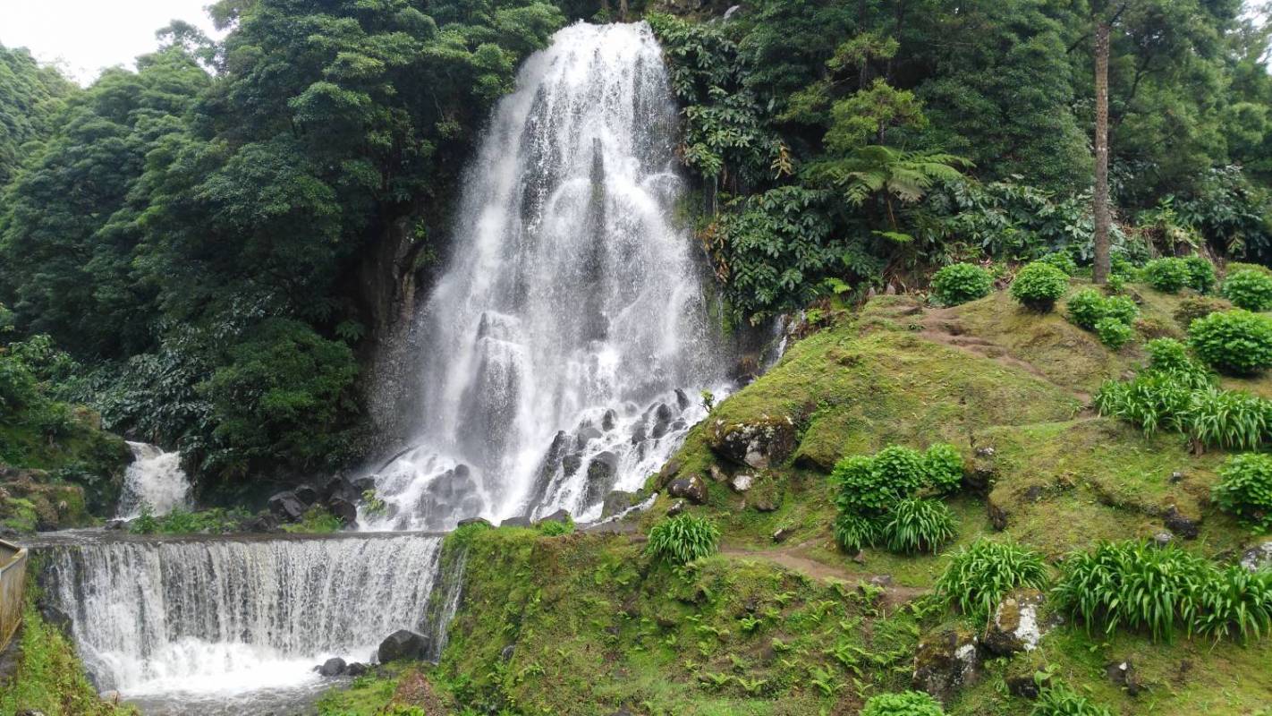 Sightseeing Tour Until Furnas And Northeast Azores