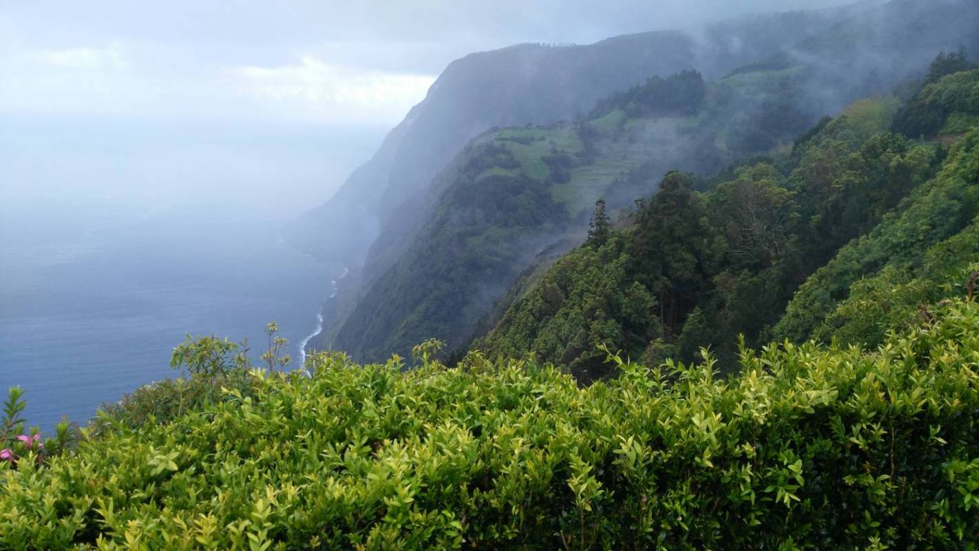 Sightseeing Tour Until Furnas And Northeast Azores