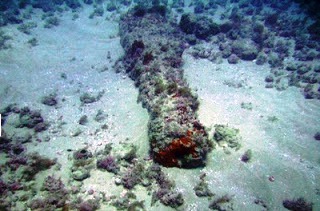 Catamaran Tour - See The Bottom Of The Sea – Peniche