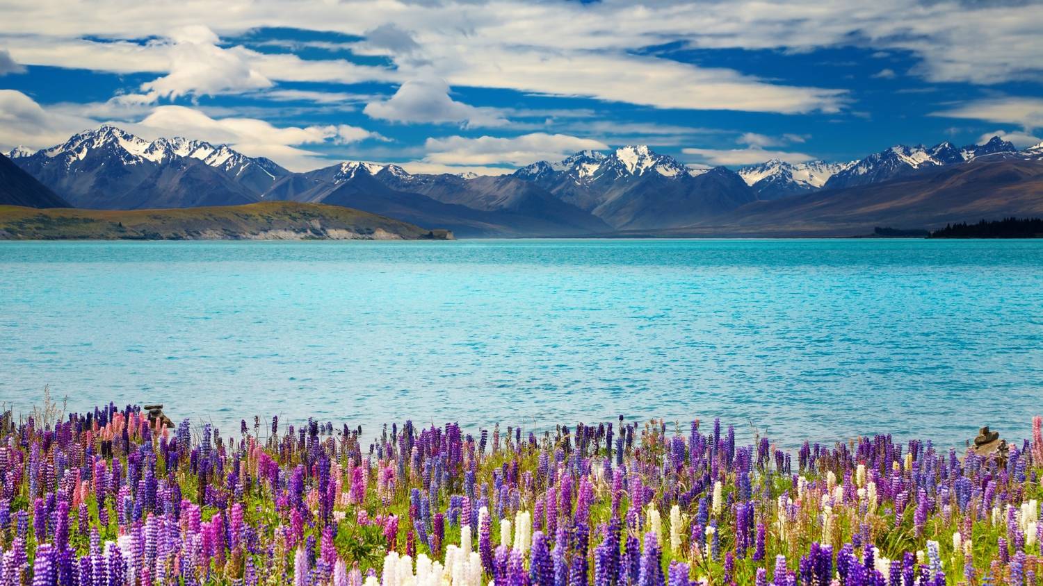 Lake Tekapo Top Tours and Tips | experitour.com