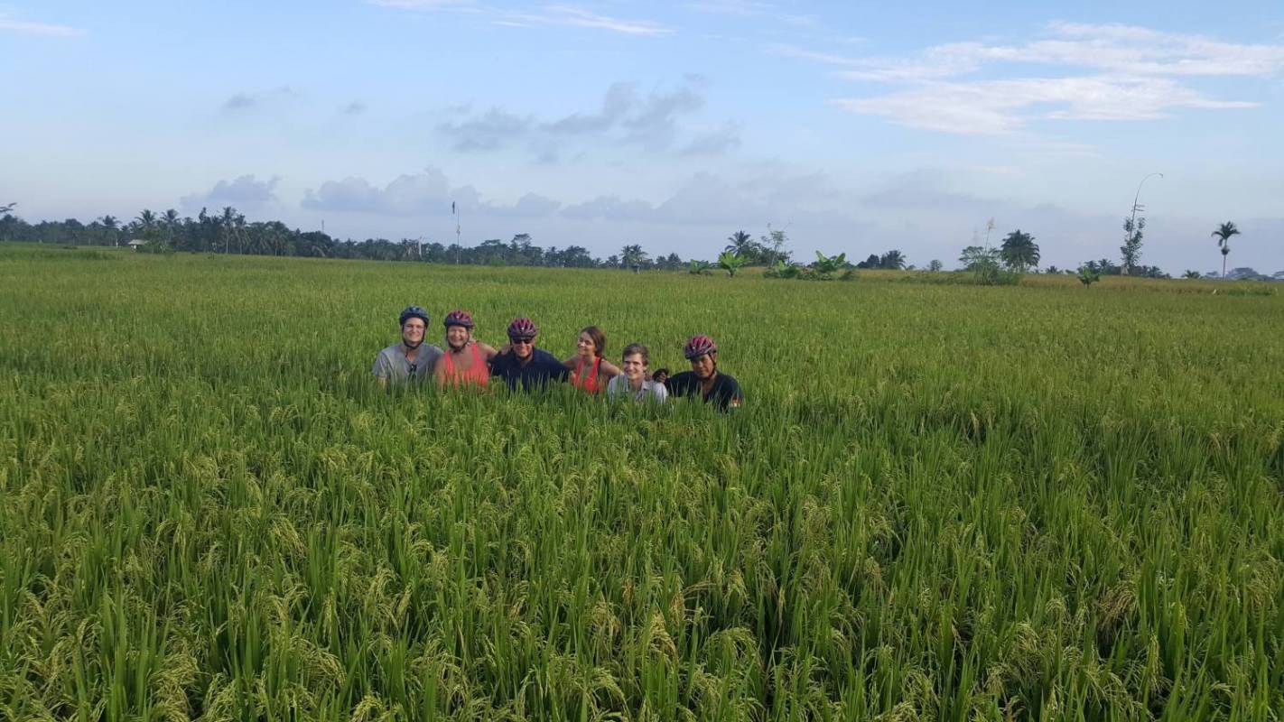 Ubud Electric Bike Tour To Tegallalang Rice Terraces - Bali
