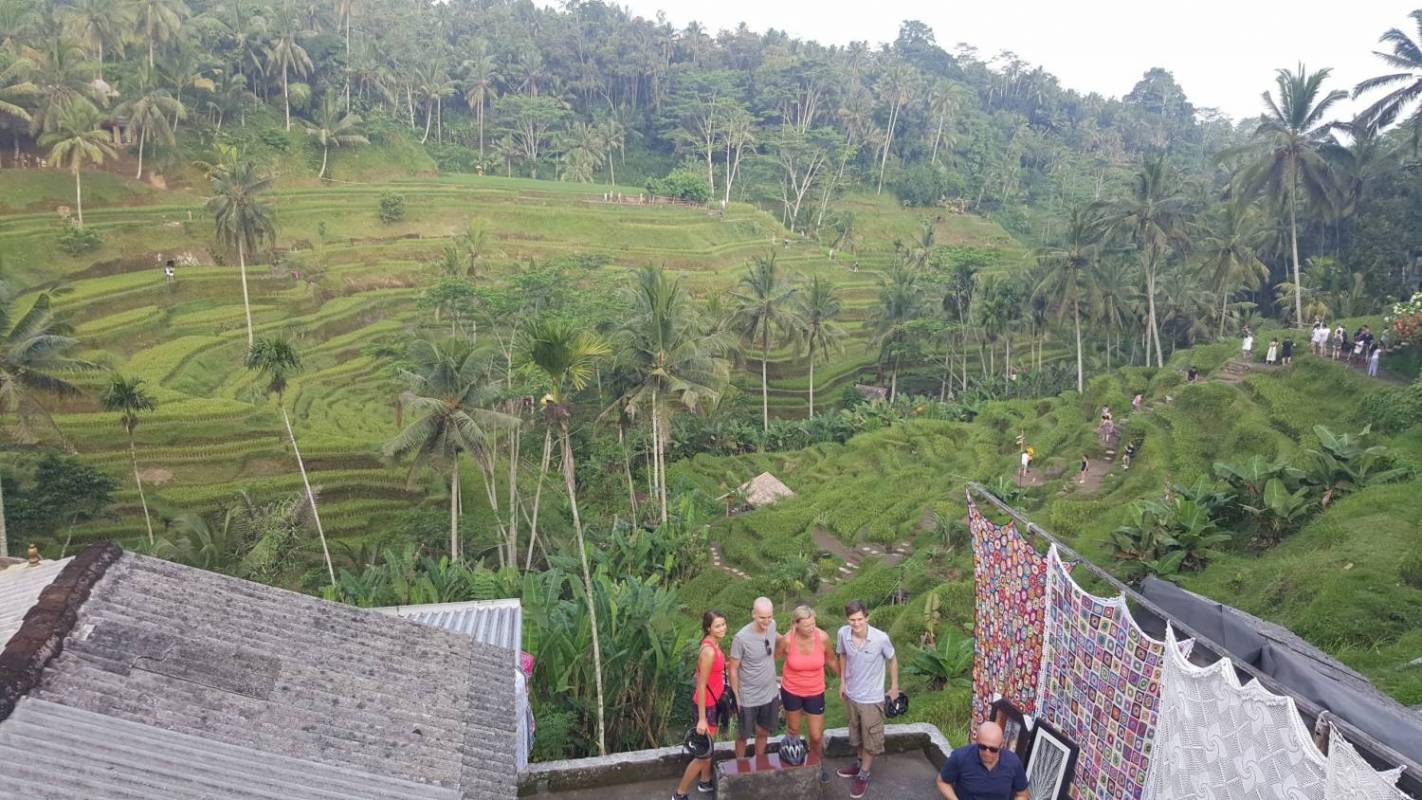 Ubud Electric Bike Tour To Tegallalang Rice Terraces - Bali