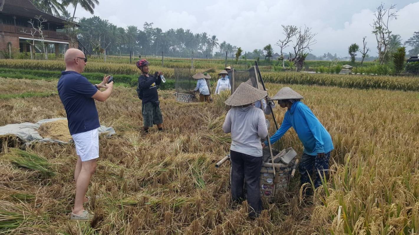 Ubud Electric Bike Tour To Tegallalang Rice Terraces - Bali