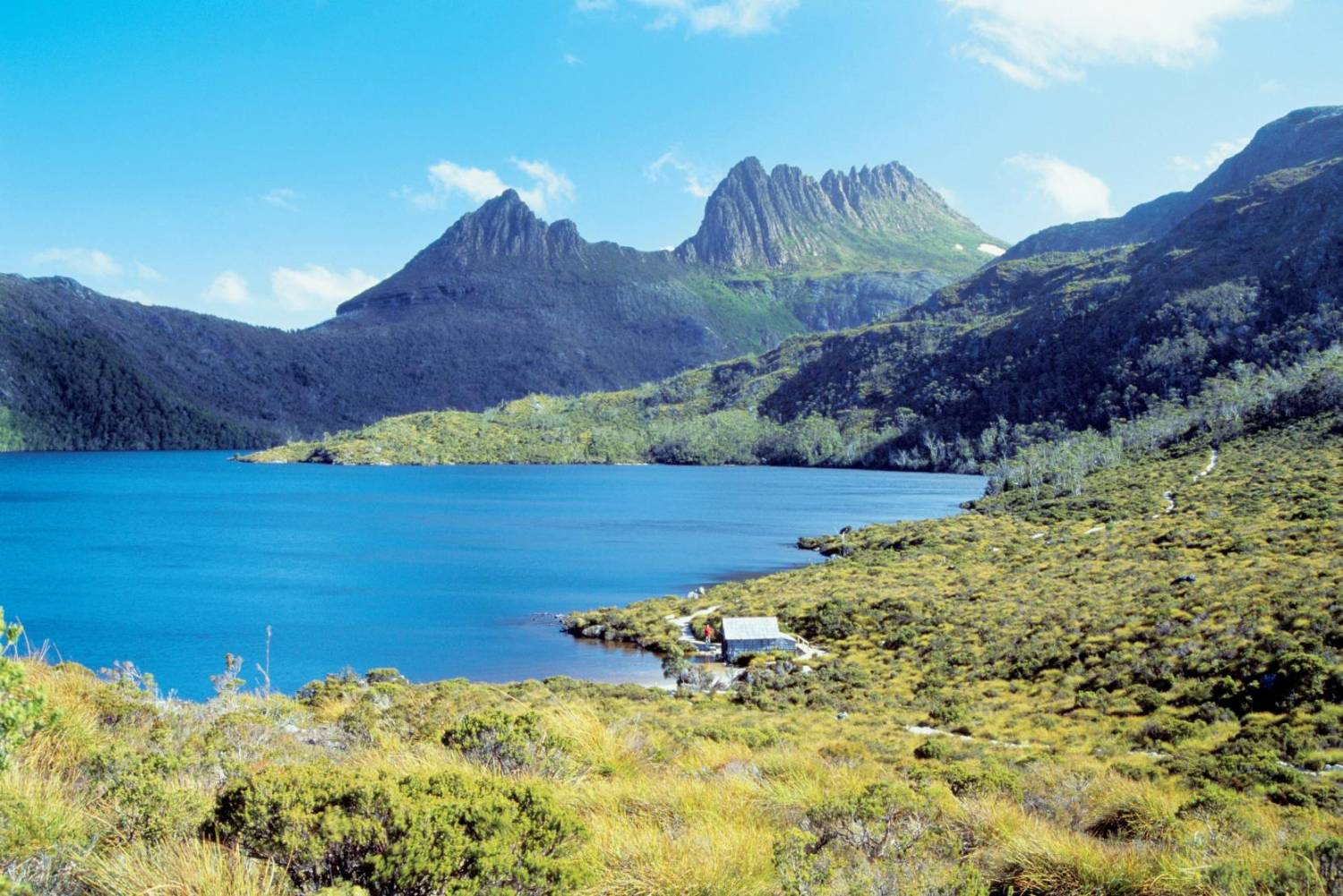 Cradle Mountain Top Tours and Tips