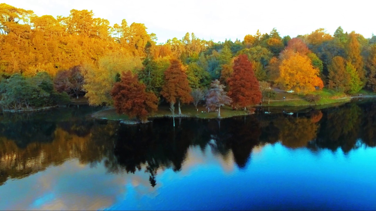 McLaren Falls Park Top Tours and Tips | experitour.com