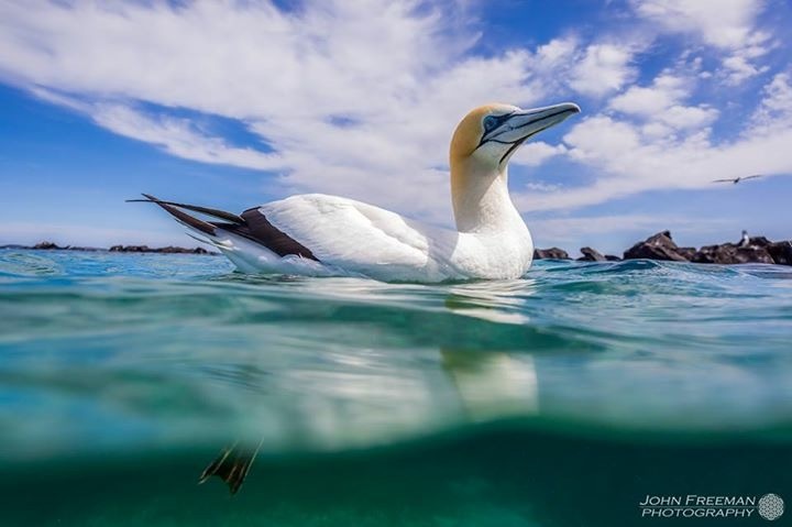 Seafood And Champagne Cruise - Sorrento Vic