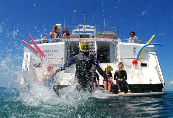 Seafood And Champagne Cruise - Sorrento Vic